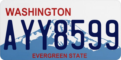 WA license plate AYY8599