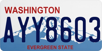 WA license plate AYY8603