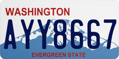 WA license plate AYY8667