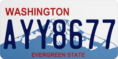 WA license plate AYY8677