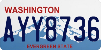 WA license plate AYY8736