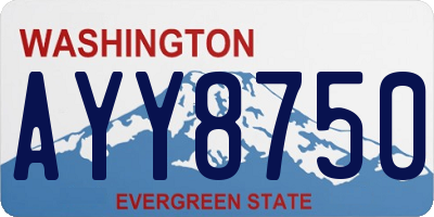 WA license plate AYY8750