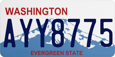 WA license plate AYY8775