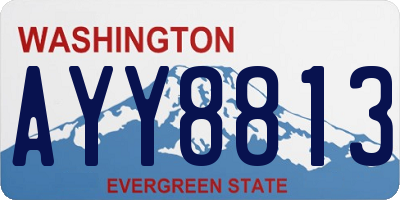 WA license plate AYY8813