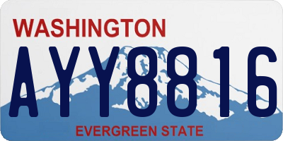 WA license plate AYY8816