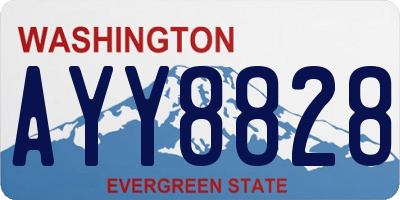 WA license plate AYY8828