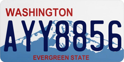 WA license plate AYY8856