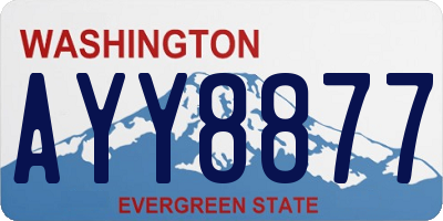 WA license plate AYY8877