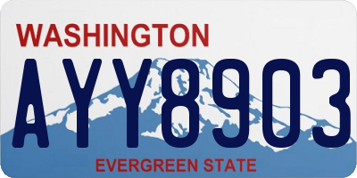 WA license plate AYY8903