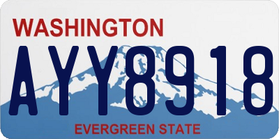 WA license plate AYY8918