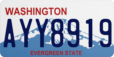 WA license plate AYY8919