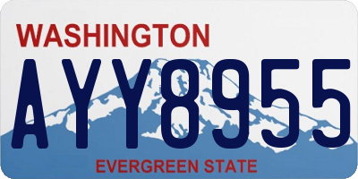 WA license plate AYY8955