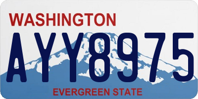 WA license plate AYY8975