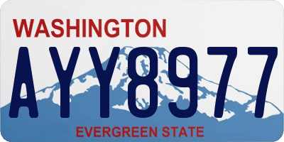 WA license plate AYY8977