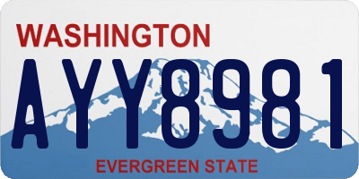 WA license plate AYY8981