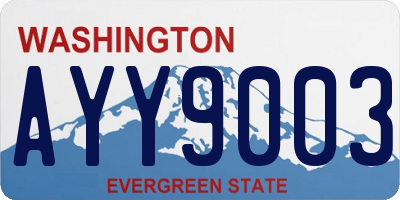 WA license plate AYY9003