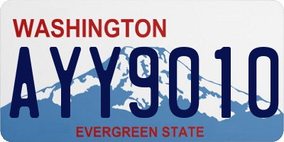 WA license plate AYY9010