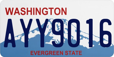 WA license plate AYY9016