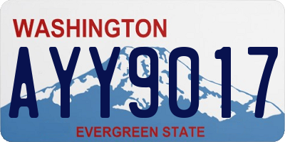 WA license plate AYY9017