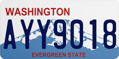 WA license plate AYY9018