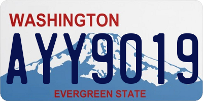 WA license plate AYY9019