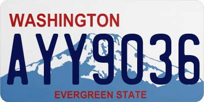 WA license plate AYY9036