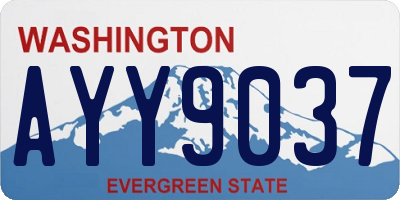 WA license plate AYY9037