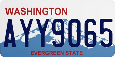 WA license plate AYY9065