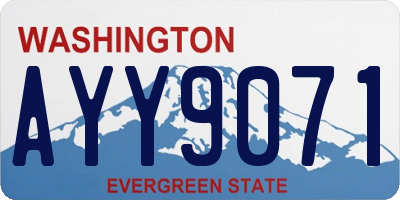 WA license plate AYY9071