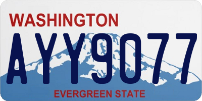 WA license plate AYY9077