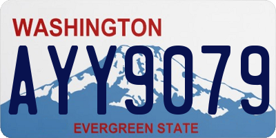 WA license plate AYY9079