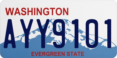 WA license plate AYY9101