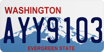 WA license plate AYY9103