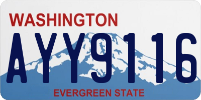 WA license plate AYY9116