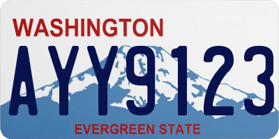 WA license plate AYY9123