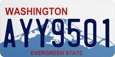 WA license plate AYY9501