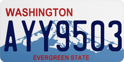 WA license plate AYY9503