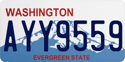 WA license plate AYY9559