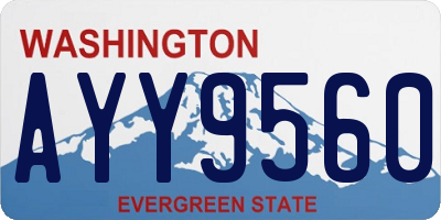 WA license plate AYY9560