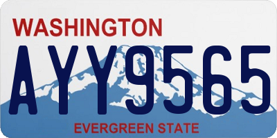 WA license plate AYY9565