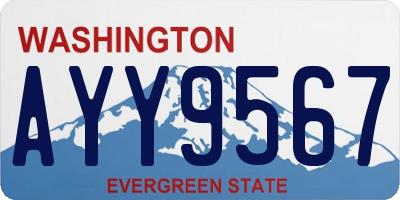 WA license plate AYY9567