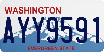 WA license plate AYY9591