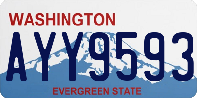 WA license plate AYY9593