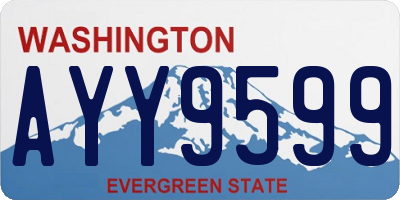 WA license plate AYY9599