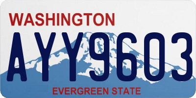 WA license plate AYY9603
