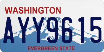 WA license plate AYY9615