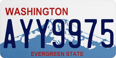 WA license plate AYY9975