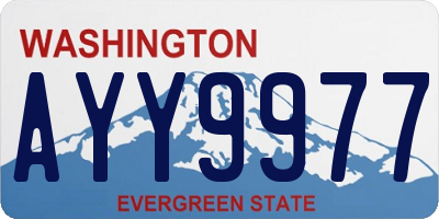 WA license plate AYY9977