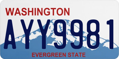 WA license plate AYY9981