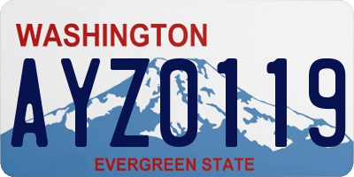 WA license plate AYZ0119